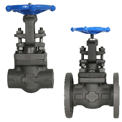 Forged Gate Valve